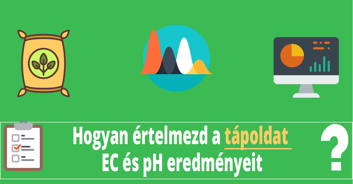 Tápoldat EC mérés és Talaj EC mérés eredményeinek elemzése