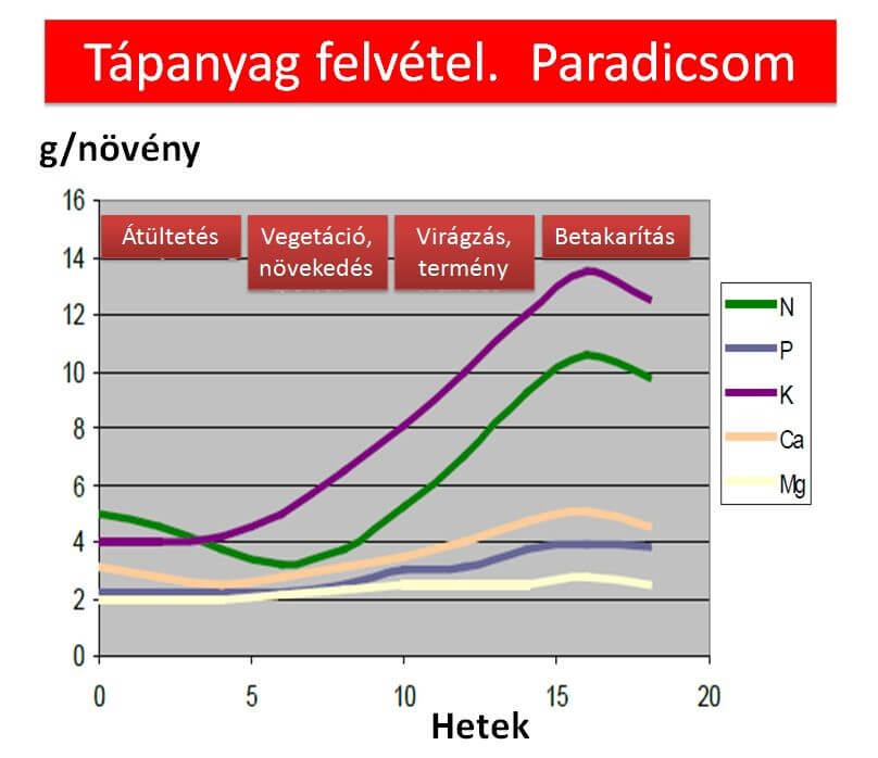 tudás alapú gazdálkodás