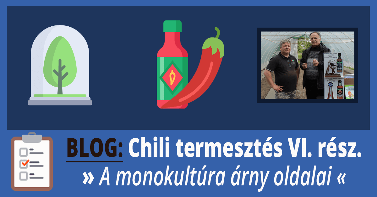 Monokultúra problémái – Chili termesztés VI. rész